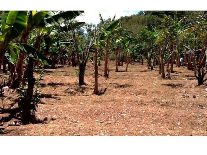 VENTA DE LOTE USO MIXTO, HEREDIA, SAN RAFAEL, CONCEPCION - Imagen 6