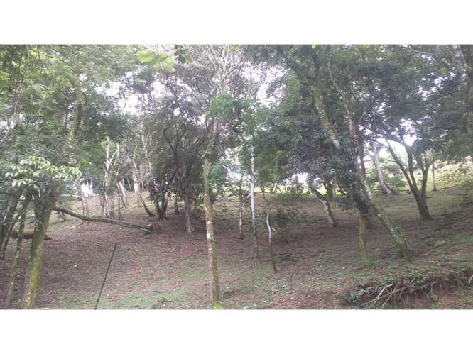 VENTA DE LOTE, SAN JOSÉ, SANTA ANA, CONDOMINIO PARQUE MONTAÑA DEL SOL - Imagen 15