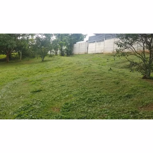 VENTA DE LOTE, ALAJUELA, OROTINA, COYOLAR - Imagen 4