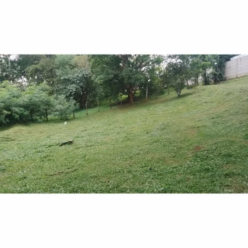 VENTA DE LOTE, ALAJUELA, OROTINA, COYOLAR - Imagen 2