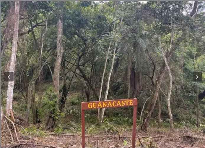 Venta de hermosos lotes (Quintas) - Imagen 5