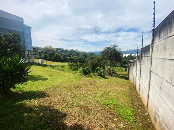 Terreno en venta con almacén y casa en Guayabos - Imagen 14