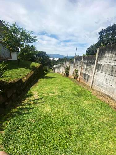 Terreno en venta con almacén y casa en Guayabos - Imagen 15