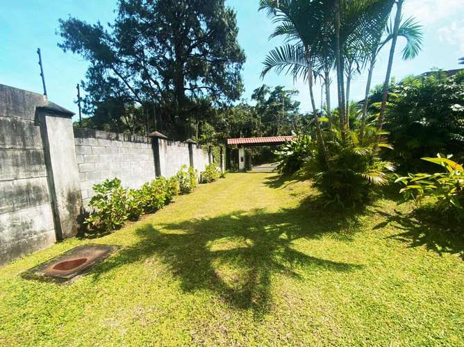 Terreno en venta con almacén y casa en Guayabos - Imagen 16