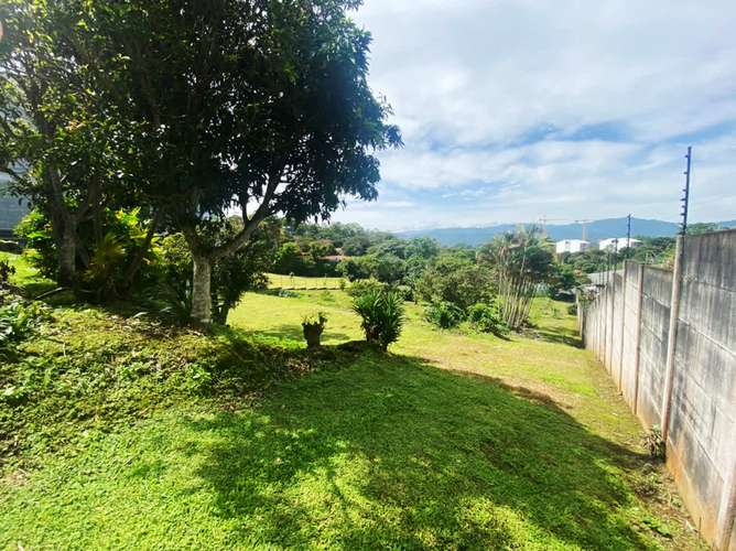 Terreno en venta con almacén y casa en Guayabos - Imagen 12