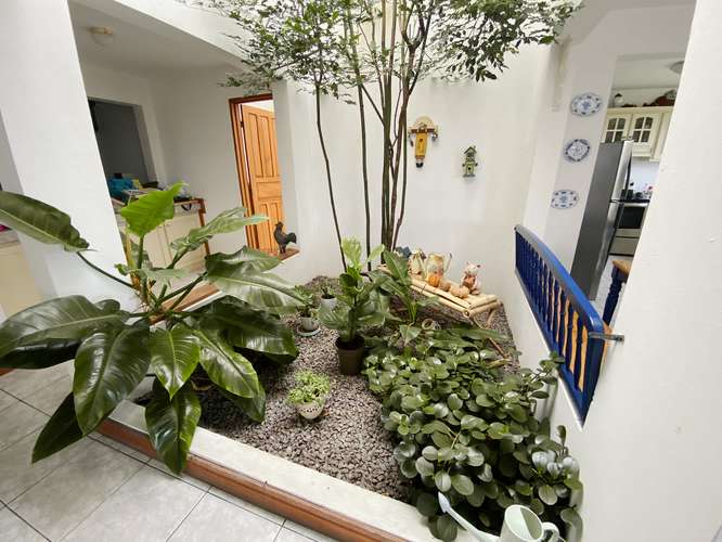 Terreno en venta con almacén y casa en Guayabos - Imagen 10