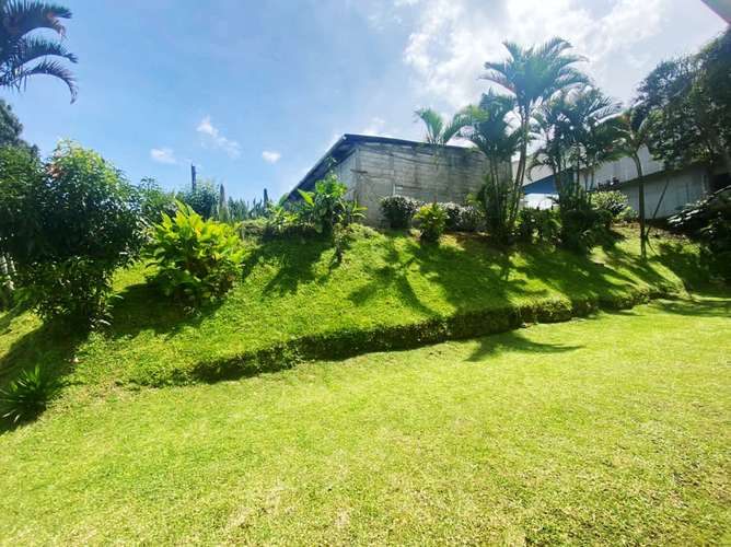 Terreno en venta con almacén y casa en Guayabos - Imagen 4