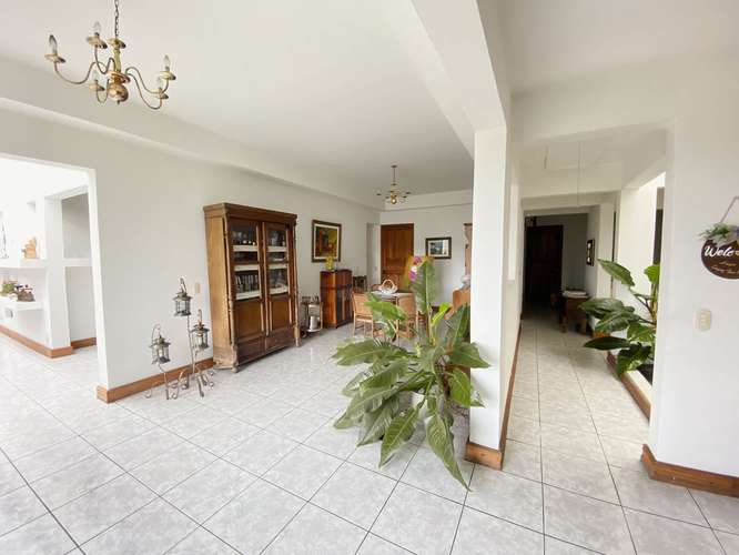 Terreno en venta con almacén y casa en Guayabos - Imagen 6