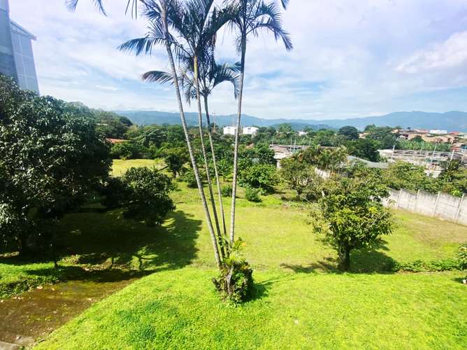 Terreno en venta con almacén y casa en Guayabos - Imagen 18
