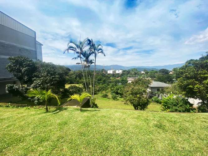 Terreno en venta con almacén y casa en Guayabos - Imagen 17