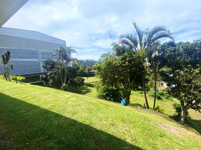 Terreno en venta con almacén y casa en Guayabos - Imagen 13