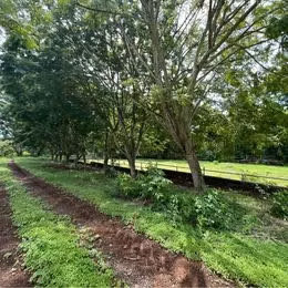 Finca Ganadera en Orotina