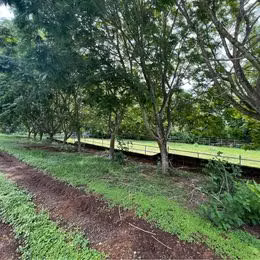 Finca Ganadera en Orotina