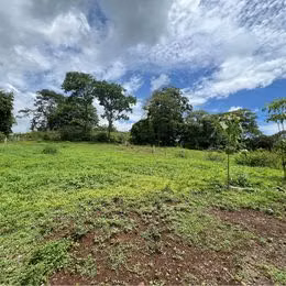 Finca Ganadera en Orotina