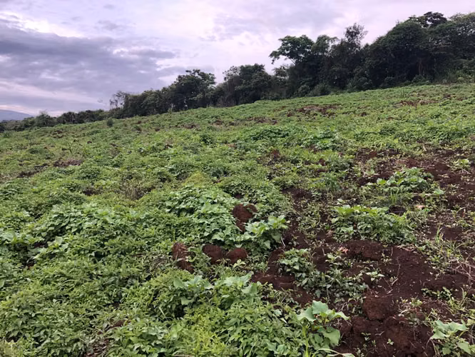 Venta de lote en San Rafael de Heredia - Imagen 2