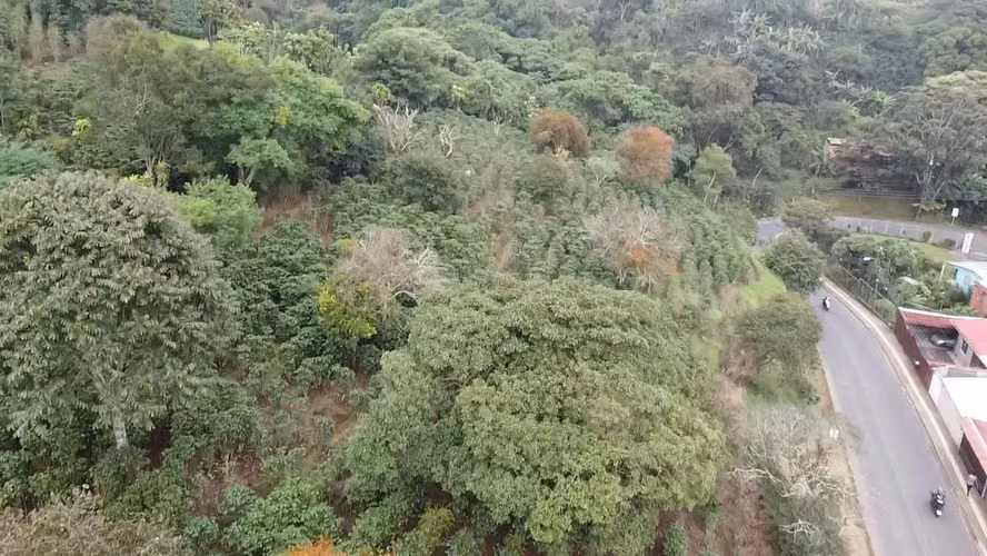 Venta de lote en Carrizal de Alajuela - Imagen 7