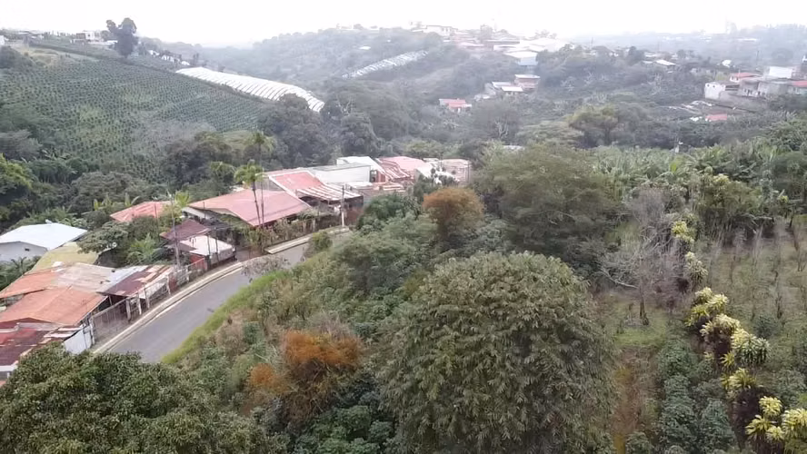 Venta de lote en Carrizal de Alajuela - Imagen 4