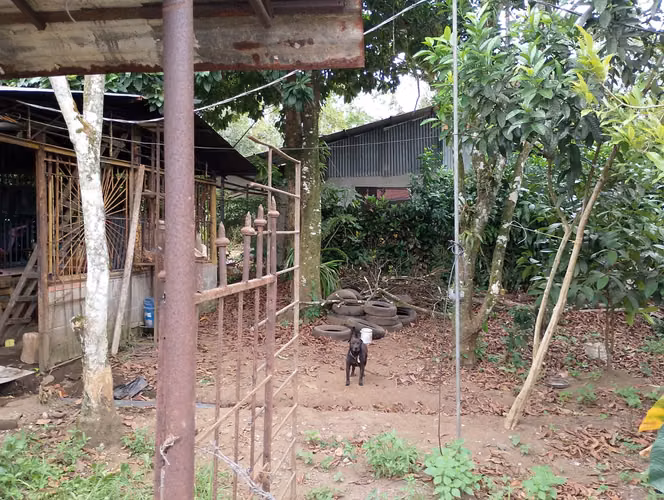 Lote con casa en Guácimo