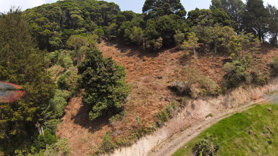 Terreno en Venta con Vista a la Montaña en La Luchita, Dota ID 21355 - Imagen 3