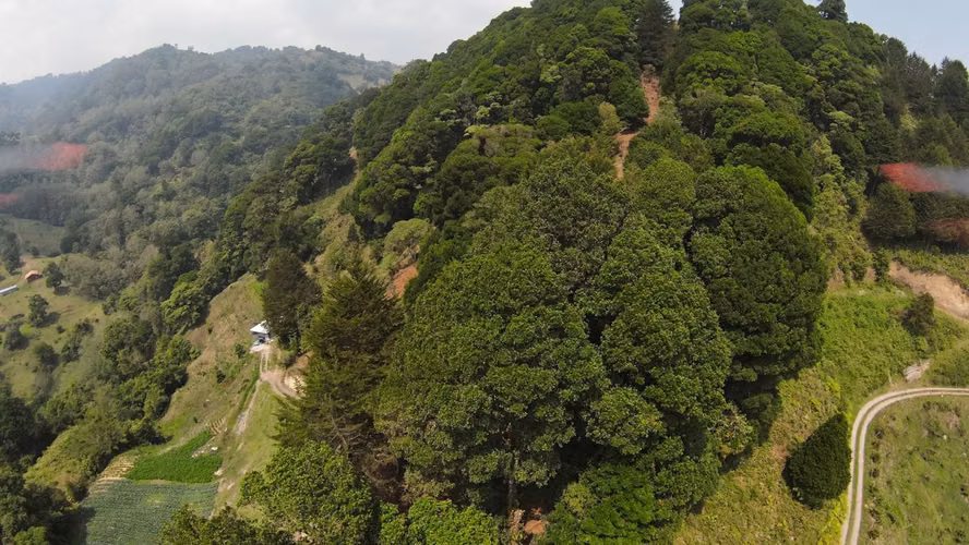Terreno en Venta con Vista a la Montaña en La Luchita, Dota ID 21355 - Imagen 5