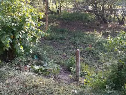 Terreno en Playa Samara, El Torito a 150m de Playa Samara