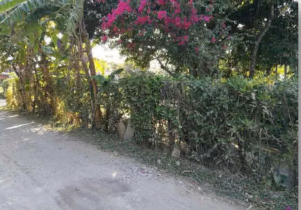Terreno en Playa Samara, El Torito a 150m de Playa Samara