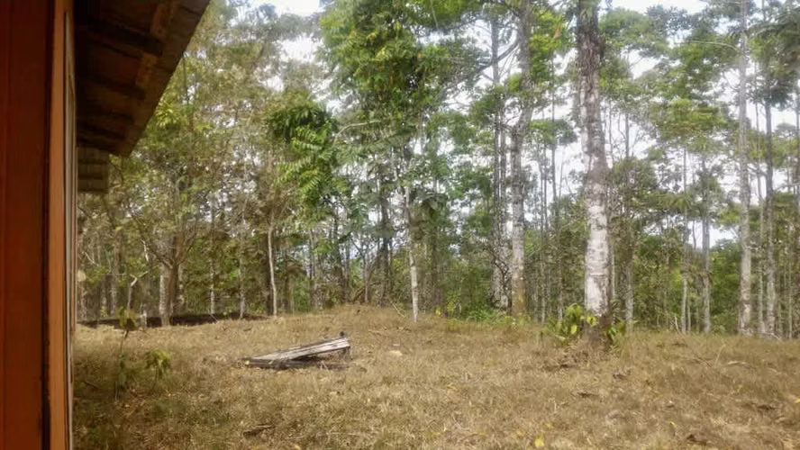 Venta finca San Carlos maderable GANGA 95 mill colones