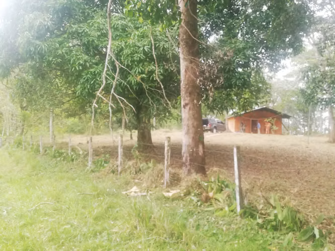 Venta finca San Carlos maderable GANGA 95 mill colones