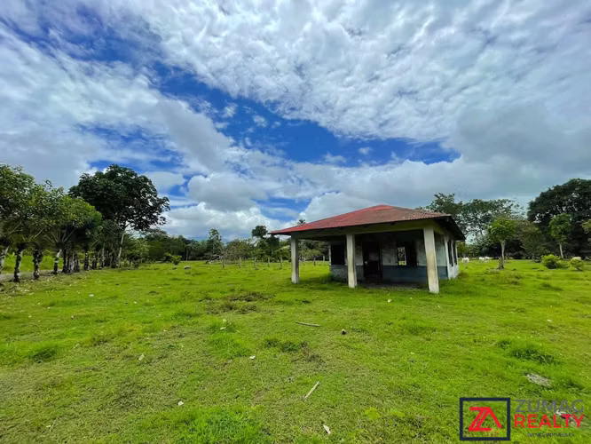 VENTA TERRENO EN LA VEGA DE FLORENCIA SAN CARLOS 2 HA PLANO CON RÍO - Imagen 2