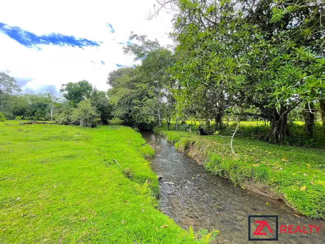 VENTA TERRENO EN LA VEGA DE FLORENCIA SAN CARLOS 2 HA PLANO CON RÍO - Imagen 16
