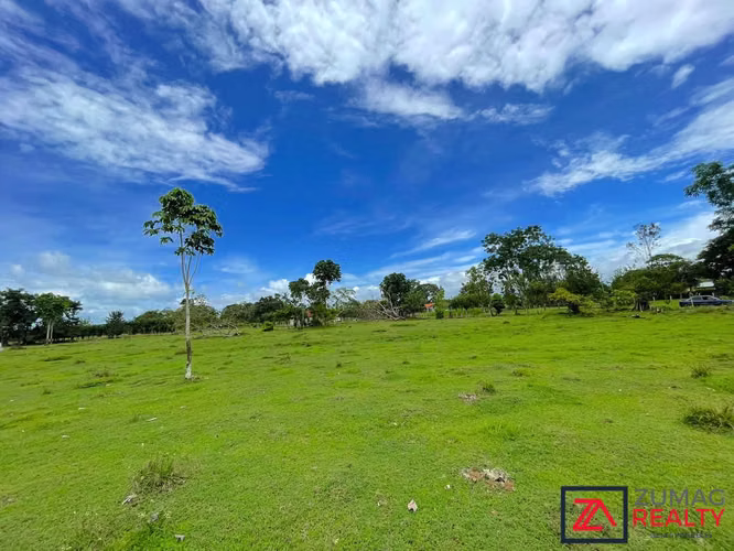 VENTA TERRENO EN LA VEGA DE FLORENCIA SAN CARLOS 2 HA PLANO CON RÍO - Imagen 8