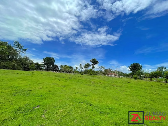 VENTA TERRENO EN LA VEGA DE FLORENCIA SAN CARLOS 2 HA PLANO CON RÍO - Imagen 6