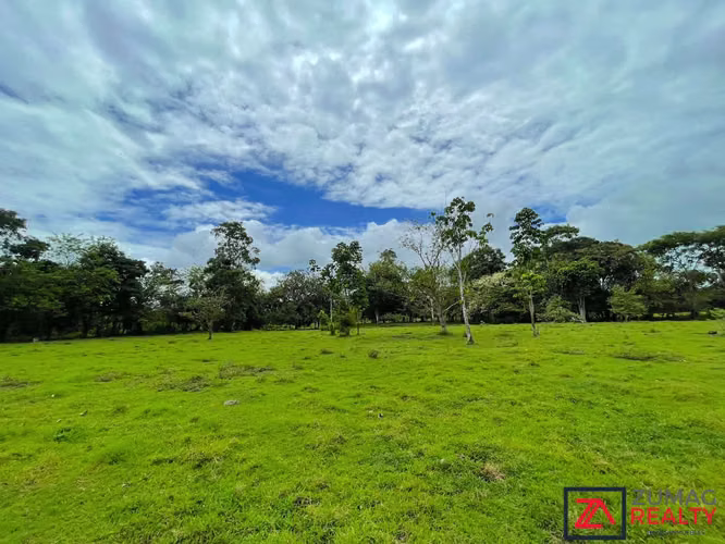 VENTA TERRENO EN LA VEGA DE FLORENCIA SAN CARLOS 2 HA PLANO CON RÍO - Imagen 5