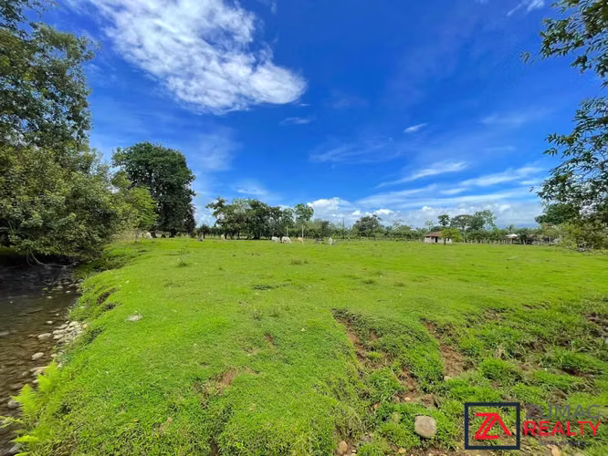 VENTA TERRENO EN LA VEGA DE FLORENCIA SAN CARLOS 2 HA PLANO CON RÍO - Imagen 15