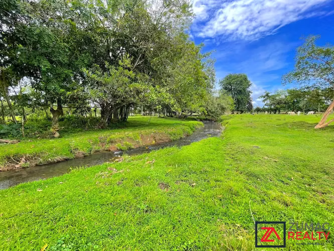 VENTA TERRENO EN LA VEGA DE FLORENCIA SAN CARLOS 2 HA PLANO CON RÍO - Imagen 10