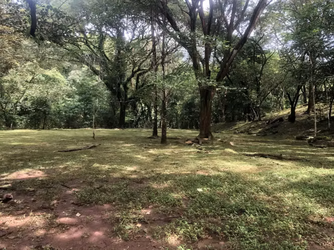 SE VENDE TERRENO EN OROTINA DESARROLLO TURÍSTICO O URBANÍSTICO - Imagen 19