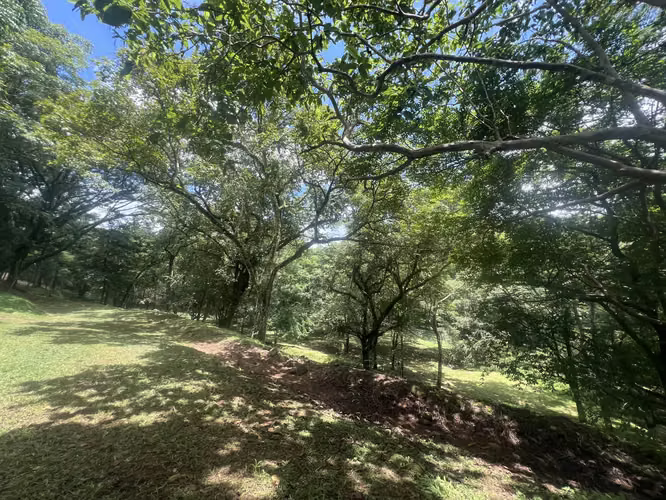 SE VENDE TERRENO EN OROTINA DESARROLLO TURÍSTICO O URBANÍSTICO - Imagen 6