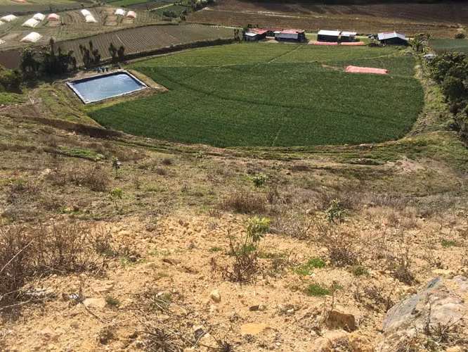 Finca en Venta en Tierra Blanca, Cartago ID 15030