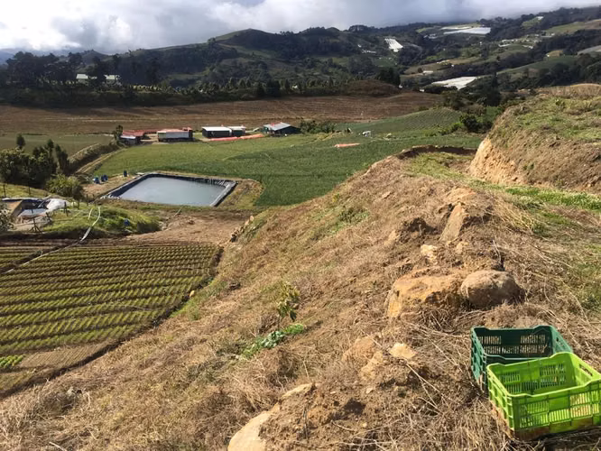 Finca en Venta en Tierra Blanca, Cartago ID 15030