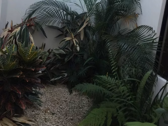 REBAJADA!!!!  Casas duplex de un piso, uso mixto, a la venta en Guadalpe - Imagen 14