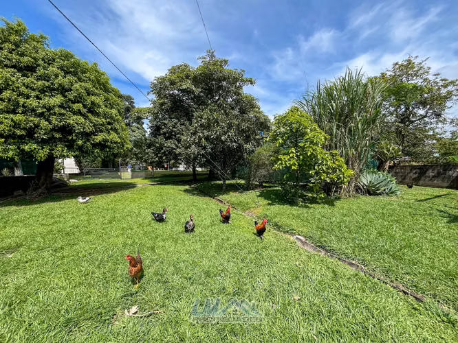 Venta. Santa Ana Centro. Uso de suelo residencial.