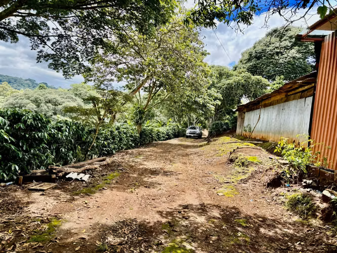 Finca en venta, Alajuela, Naranjo