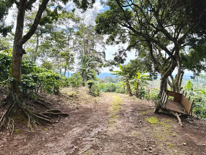 Finca en venta, Alajuela, Naranjo