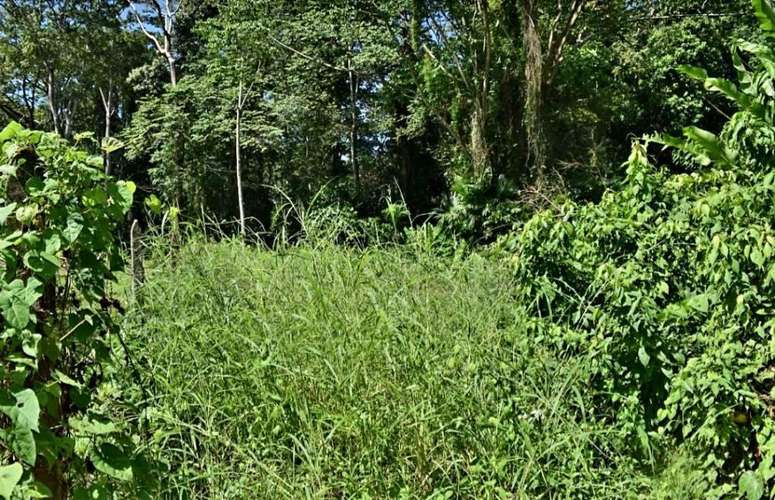 VENTA TERRENO CAHUITA TALAMANCA LIMON - Imagen 2