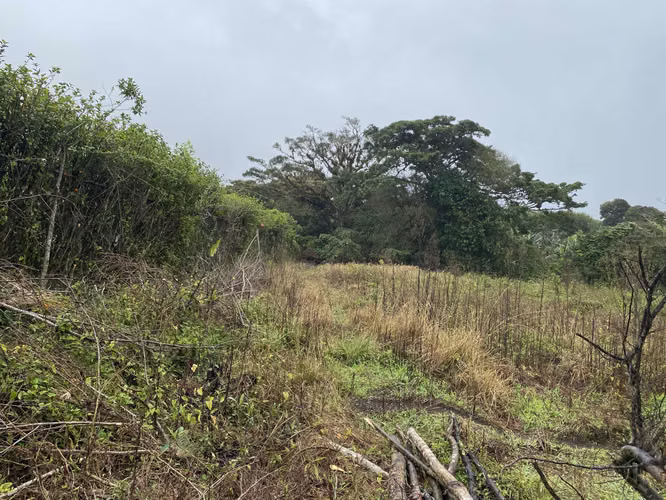 Se vende terreno plano en Santa Elena, San Isidro de Heredia - Imagen 4