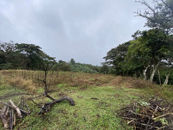 Se vende terreno plano en Santa Elena, San Isidro de Heredia - Imagen 3