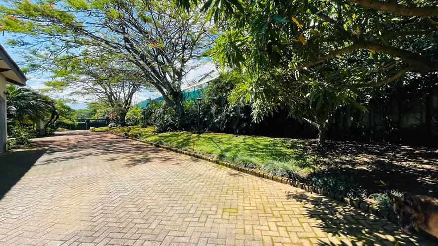 Venta. Ciudad Colón. Lujo, paz, hermosos jardines en una planta. - Imagen 5