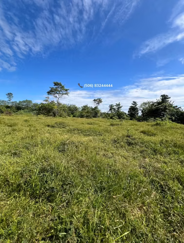 VENTA DE LOTE EN POCORA DE GUACIMO, LIMON - Imagen 10