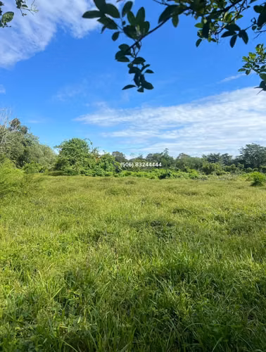 VENTA DE LOTE EN POCORA DE GUACIMO, LIMON - Imagen 9