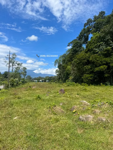 VENTA DE FINCA EN POCORA, GUACIMO, LIMON